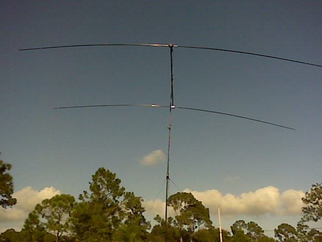 10M 2-Element Buddipole 1.jpg